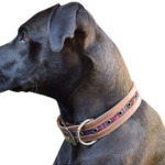 Best Leather Dog Collars