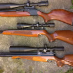 Best Small Game Hunting Air Rifles [ Best Target Air Rifles]