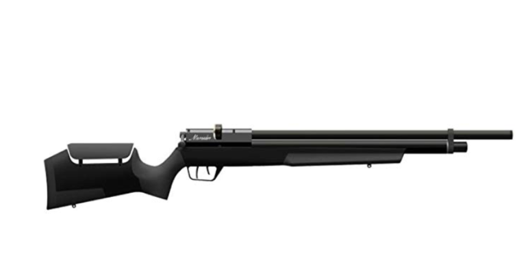 10 Best 22 Air Rifles Outdoor Moran 4400