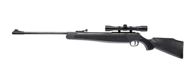 10 Best 22 Air Rifles Outdoor Moran 8862