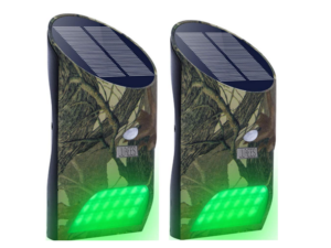 Lilbees Solar Green Feeder Lights