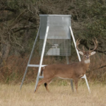 The Best Deer Feeders on the Market [ Game Feeder Guide]