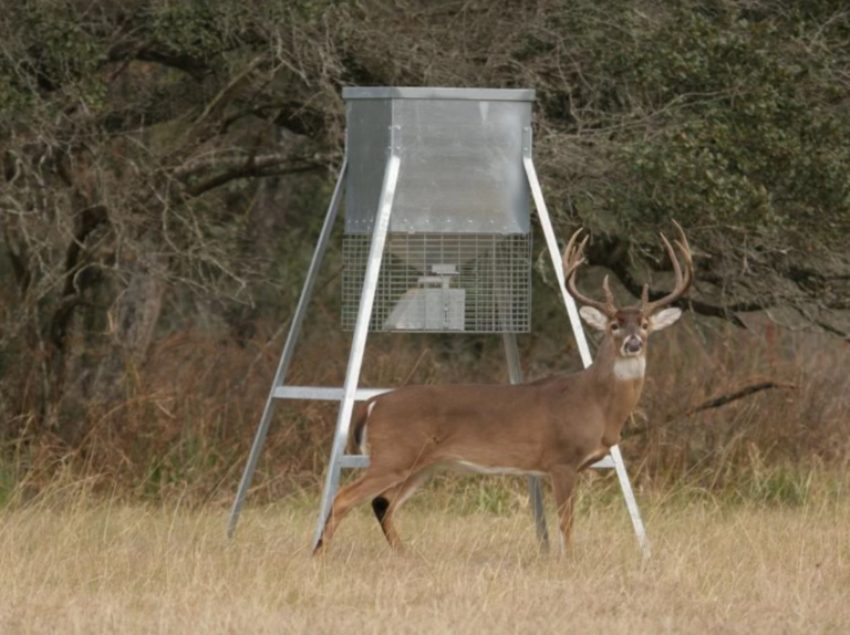 The Best Deer Feeders on the Market [ Game Feeder Guide]