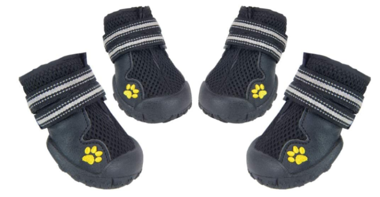 6 Best Dog Booties for Hot Pavement - Outdoor Moran