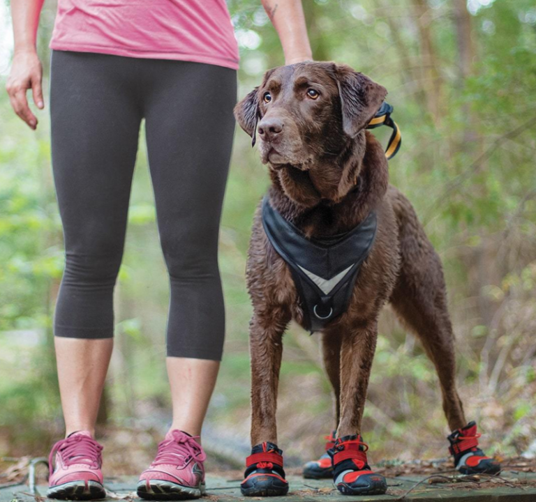 Best Summer Dog Booties, Booties for Hot Pavements