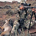 Best Binoculars for Coyote Hunting