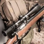best scope for Ruger 10/22 squirrel hunting