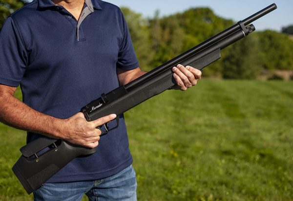 Best Air Rifles for Squirrels and Rabbits