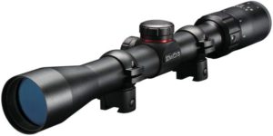 best scope for Ruger 10/22 squirrel hunting