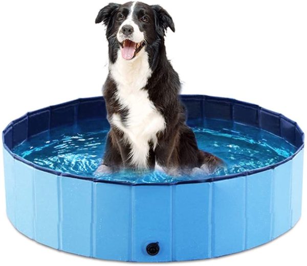 best kiddie pool for dogs