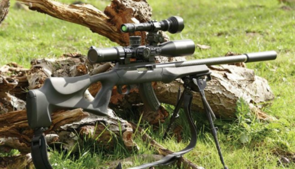 Best Ruger 10/22 scopes,Rimfire Scopes, Red Dots