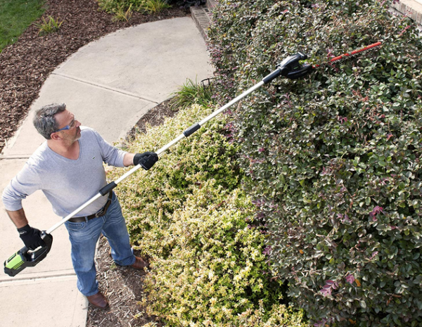 Best Cordless Long Reach Hedge Trimmers