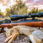 Best Air Rifle Scopes for Hunting Squirrels,Rabbits,Deer,Elk & More