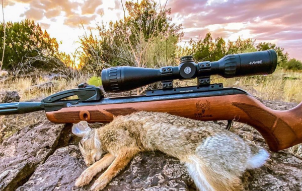 Best Air Rifle Scopes for Hunting Squirrels,Rabbits,Deer,Elk & More