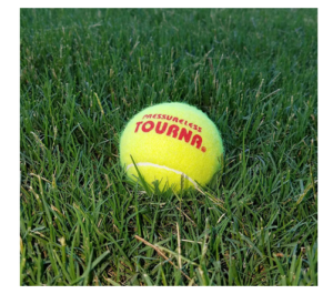 Tourna Pressureless Tennis Balls with Vinyl Tote