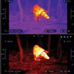Thermal Riflescopes Review.Best Thermal Scopes for the Money