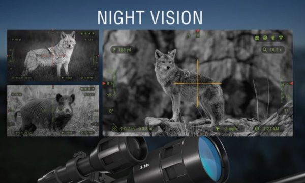 best night vision scope for hog hunting