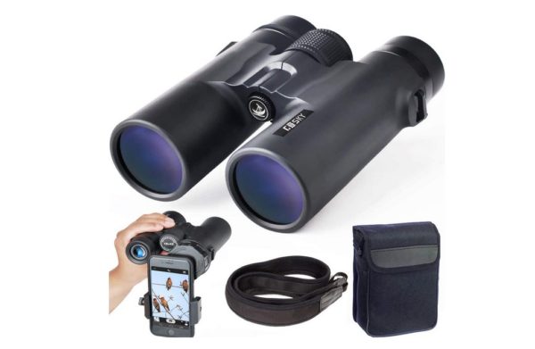 6 Best 10x42 Binoculars under $500 /$600