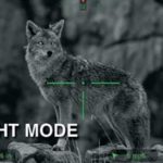 Best Scopes for Night Hunting.Scopes for Hunting at Night