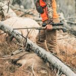 Best Rifle Scopes for Deer Hunting under $500