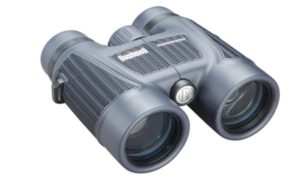 Bushnell 10 x 42 H2O Roof Prism Binoculars