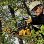 Best Lightweight Chainsaws.Electric/Gas/Powerful