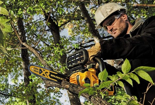 Best Lightweight Chainsaws.Electric/Gas/Powerful
