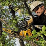 Best Chainsaws under $500