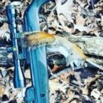 Best BB Guns for Squirrels