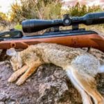 Best Pellet Guns for Rabbits.Rabbit Hunting Air Rifles