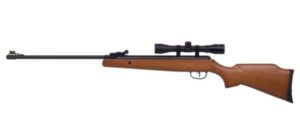 Crosman Air Rifle