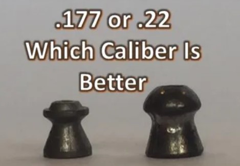 Which is Better .22 or .177 Air Rifle?