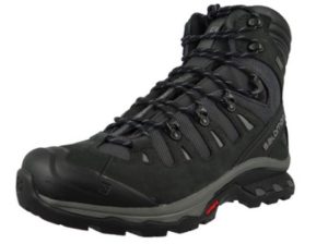 Salomon Men’s Quest 4d 3 GTX