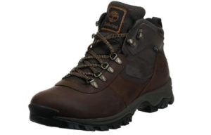 Timberland Men’s Anti-Fatigue Hiking Waterproof Leather Mt. Maddsen Boots