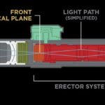 What is the Difference between FFP and SFP?