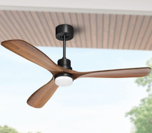 Best Outdoor Ceiling Fans