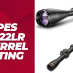 Best Scopes for 22LR Squirrel Hunting