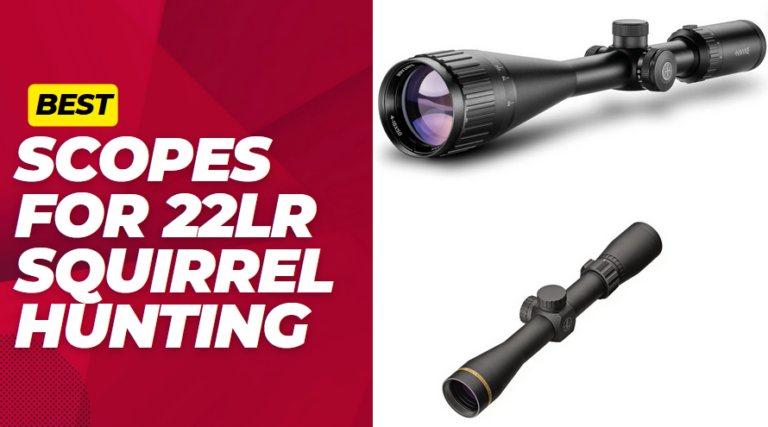 Best Scopes for 22LR Squirrel Hunting