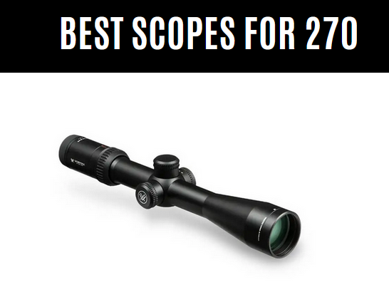 Best Scopes for 270