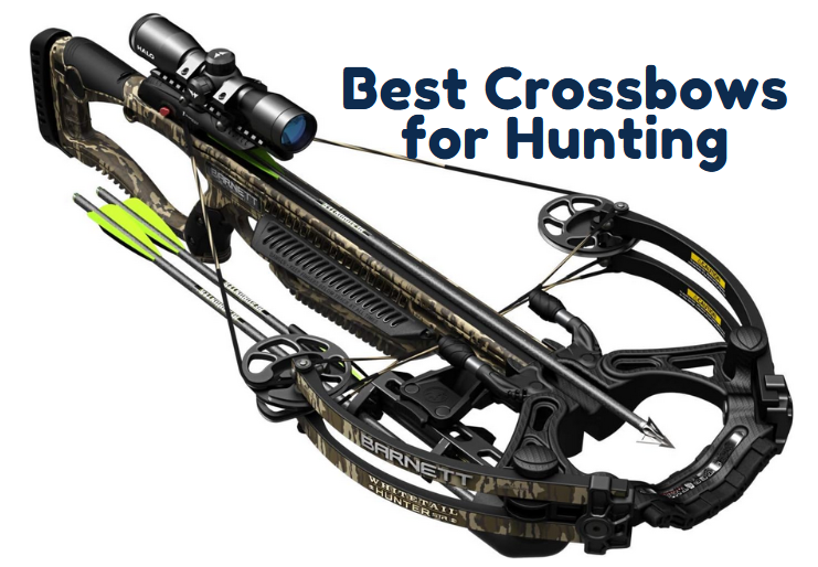 Best Crossbow for Hunting