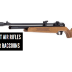 Best Air Rifles for Raccoons