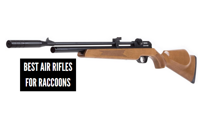 Best Air Rifles for Raccoons