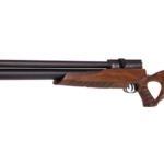 Best 22 Air Rifles for Raccoons