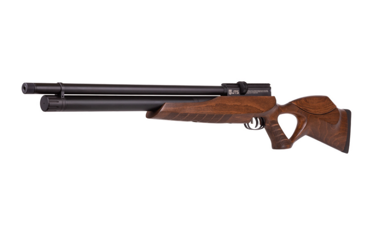 Best 22 Air Rifles for Raccoons