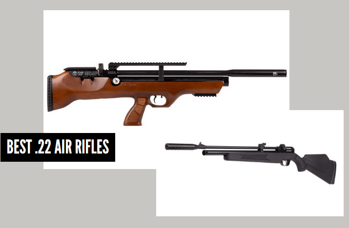 Best .22 Air Rifles