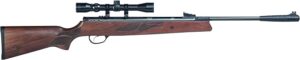 Best .22 Air Rifles