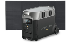 EF ECOFLOW Portable Power Station