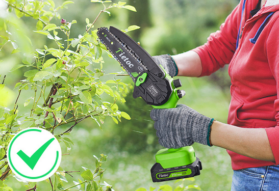 Best Mini Pruning Chainsaws