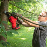 Best Battery Pruning Chainsaws