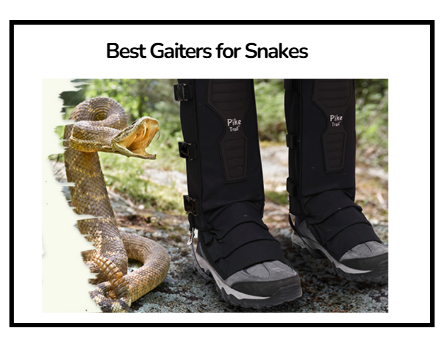 Best Gaiters for Snakes